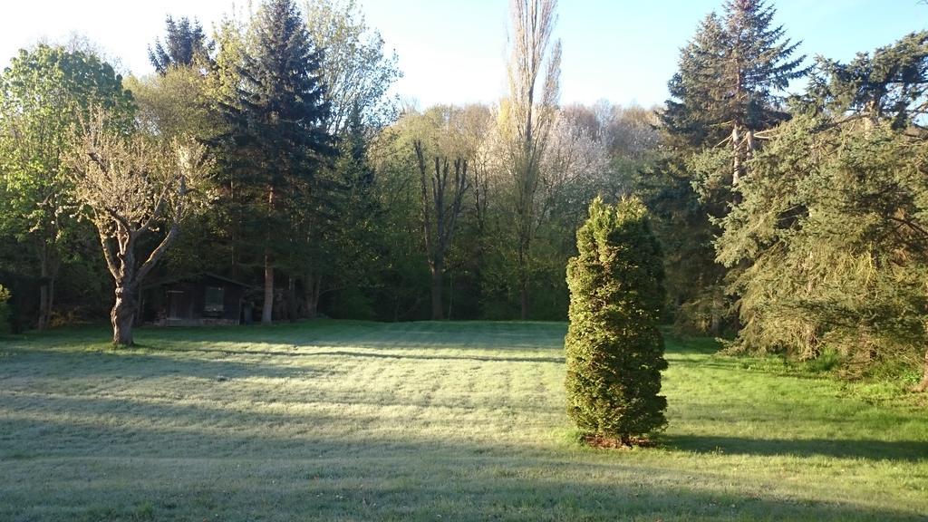Ferienhaus Faltmann Heimbach Esterno foto