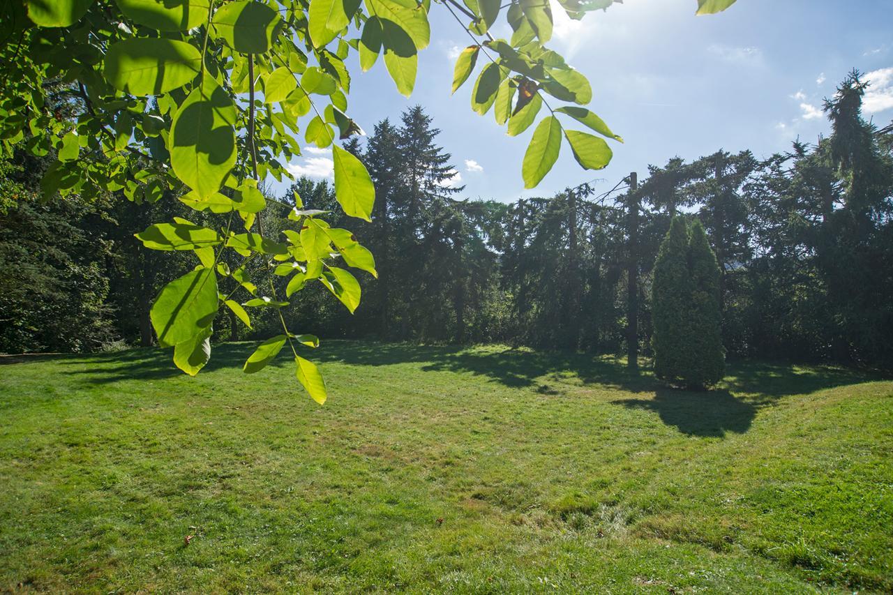 Ferienhaus Faltmann Heimbach Esterno foto